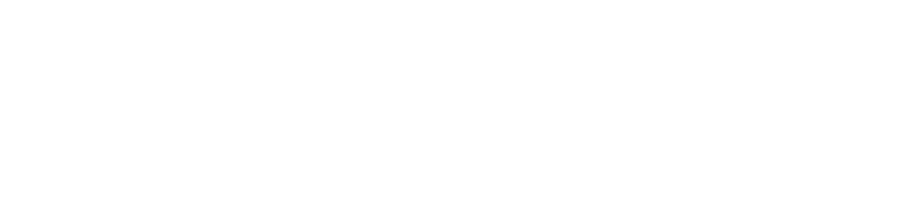 TikTok Marketing Partner